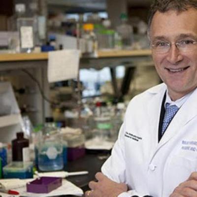 Bassanonet.it Così piccolo, così grande