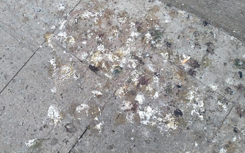 Bassanonet.it Dirty Game