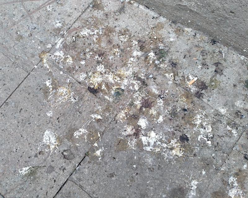 Bassanonet.it Dirty Game