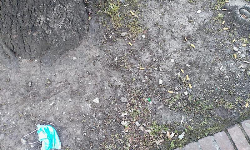 Bassanonet.it - Viale delle Fosse