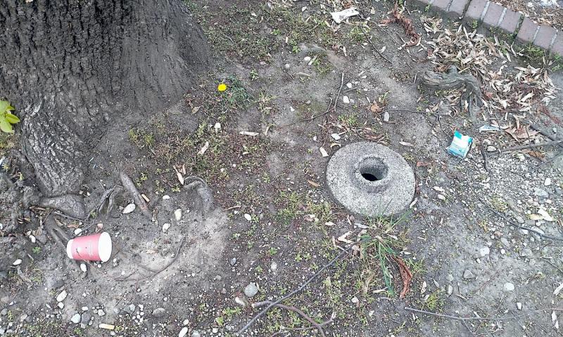 Bassanonet.it - Viale delle Fosse