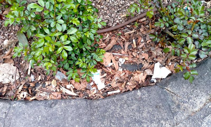 Bassanonet.it - Aiuola statua Beata Giovanna