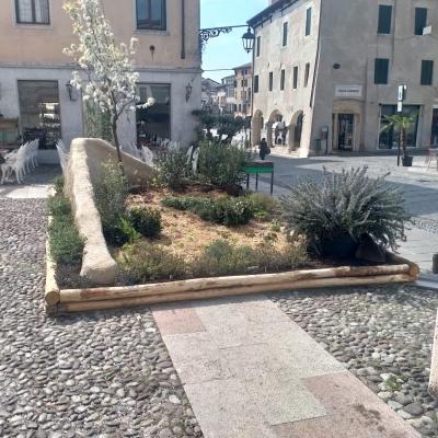 Bassanonet.it Tanto green, poco pass