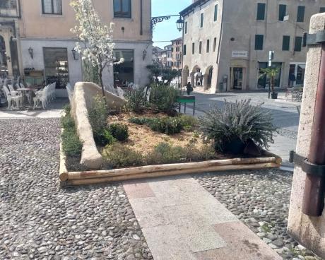 Bassanonet.it Tanto green, poco pass