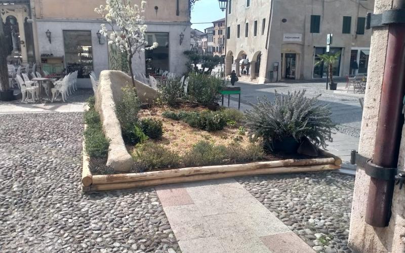 Bassanonet.it Tanto green, poco pass