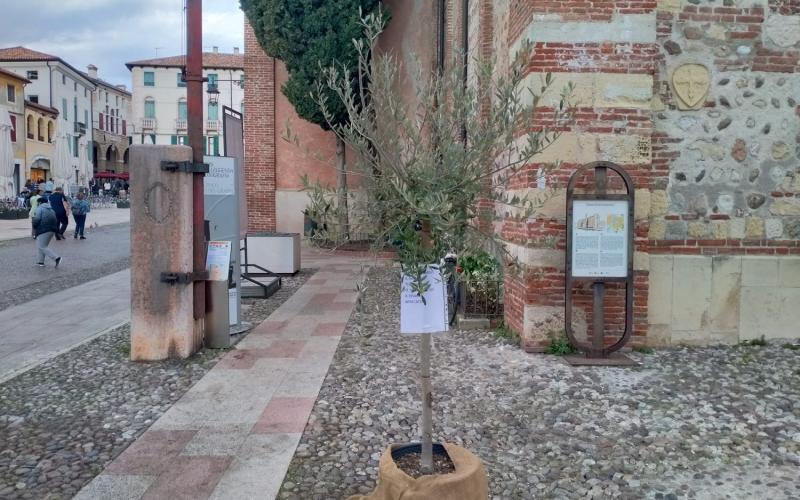 Bassanonet.it Happy (?) End