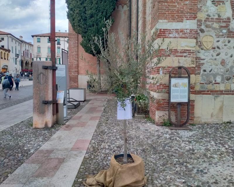 Bassanonet.it Happy (?) End