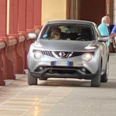 Bassanonet.it Il Ponte dei Sogghigni