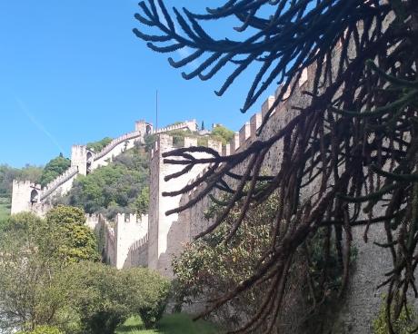 Bassanonet.it Territori del Niente