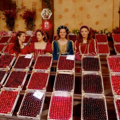 Bassanonet.it Festa della Ciliegia, ci siamo