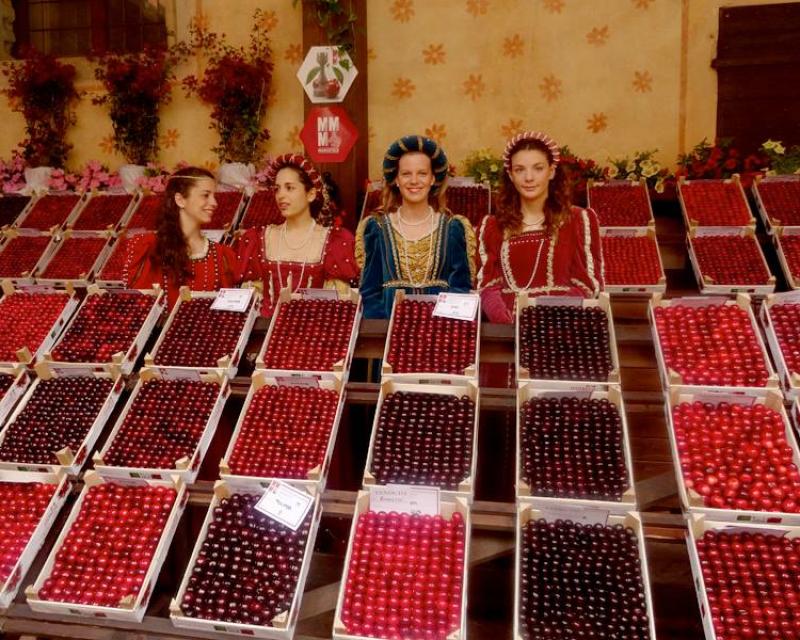 Bassanonet.it Festa della Ciliegia, ci siamo