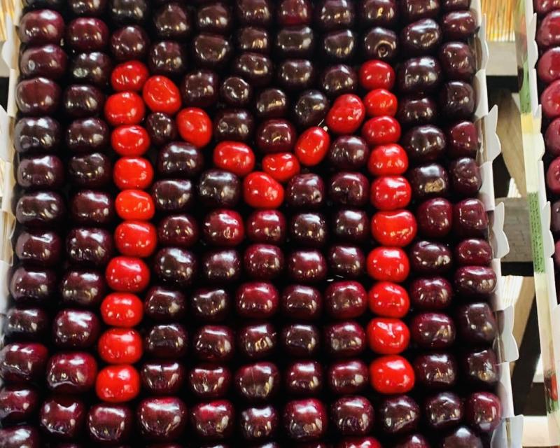 Bassanonet.it Red Queen Redemption