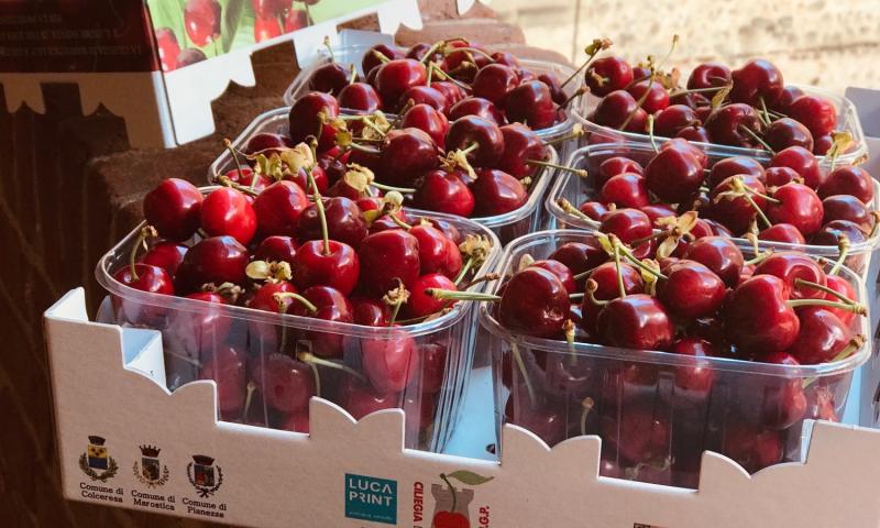 Bassanonet.it - Ciliegia di Marostica IGP