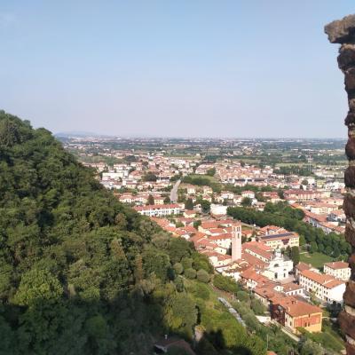 Bassanonet.it Il gol del Rivellino