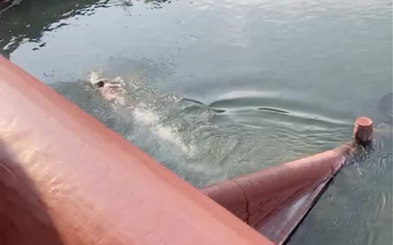 Bassanonet.it Mark Spritz