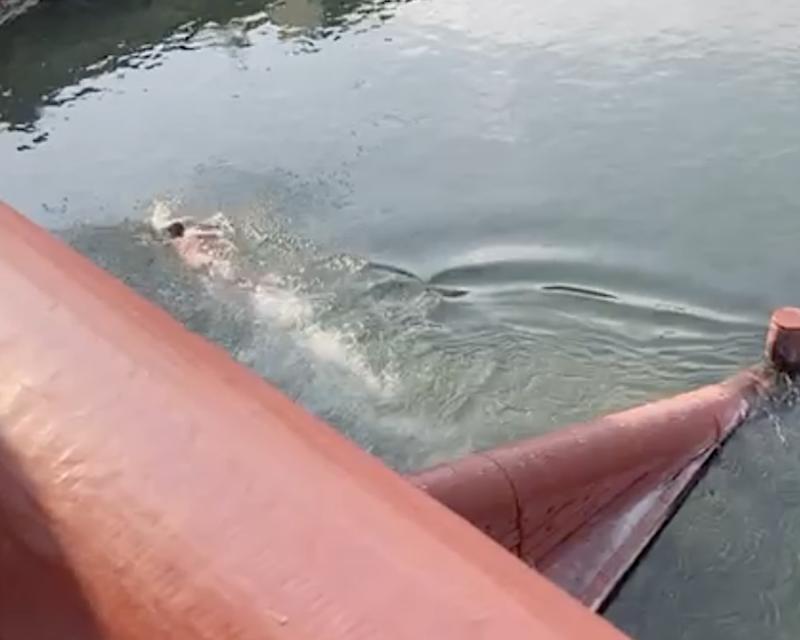 Bassanonet.it Mark Spritz