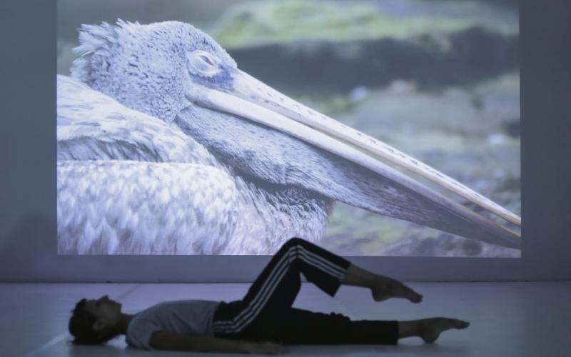 Bassanonet.it Tu chiamale se vuoi Relazioni