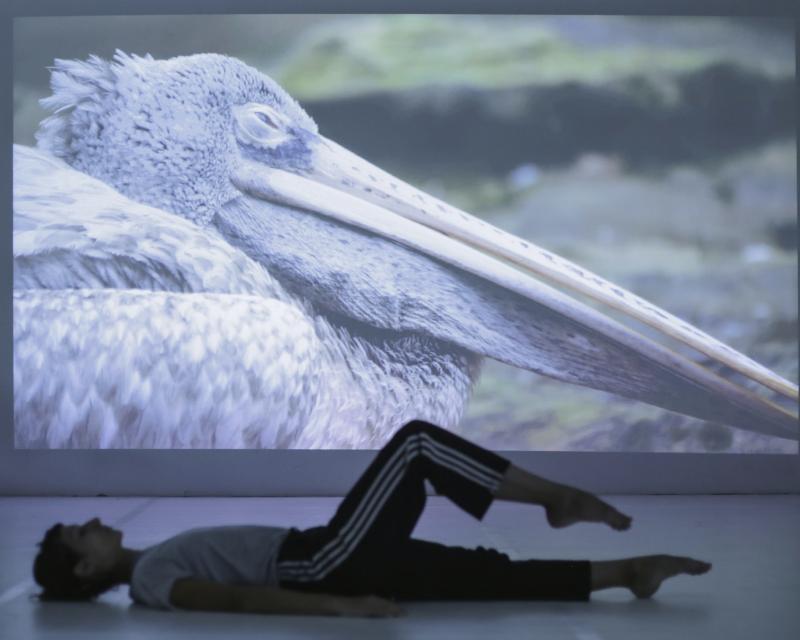 Bassanonet.it Tu chiamale se vuoi Relazioni