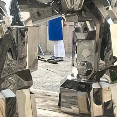 Bassanonet.it Il Rhino a sei zampe