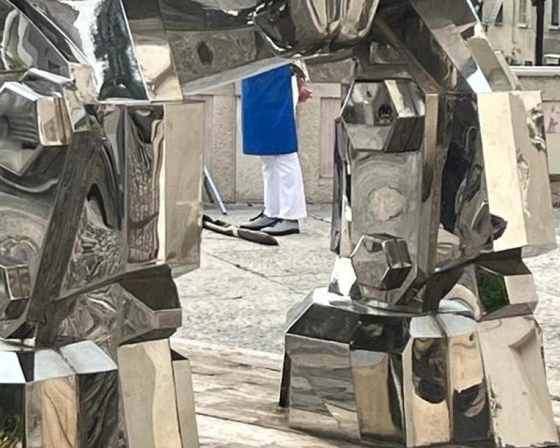 Bassanonet.it Il Rhino a sei zampe