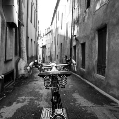 Bassanonet.it Maggioranza silenziosa