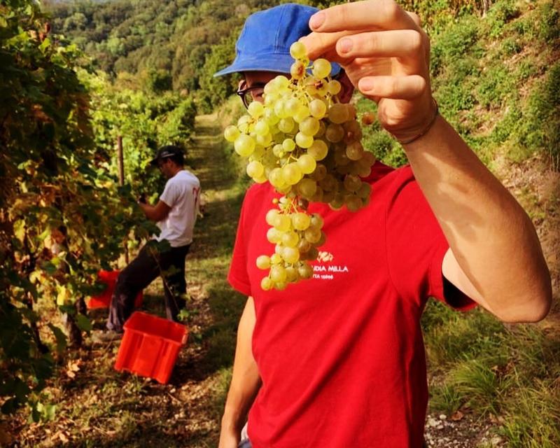 Bassanonet.it Ombra delle Mura 2022