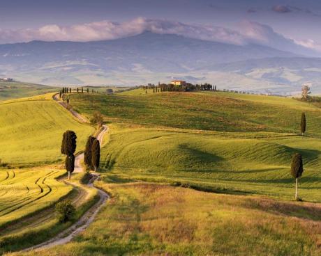 Bassanonet.it Campo Largo