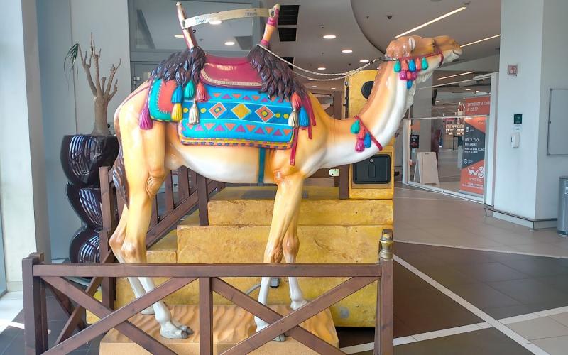 Bassanonet.it Sahara del Grappa