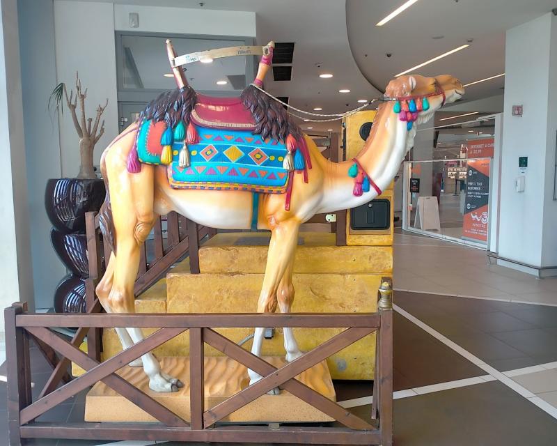 Bassanonet.it Sahara del Grappa