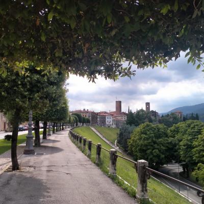 Bassanonet.it Per l’amor del cielo