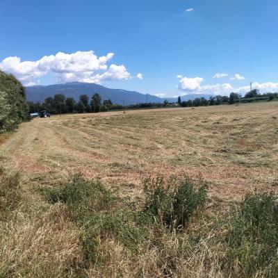 Bassanonet.it Suolo per i tuoi occhi