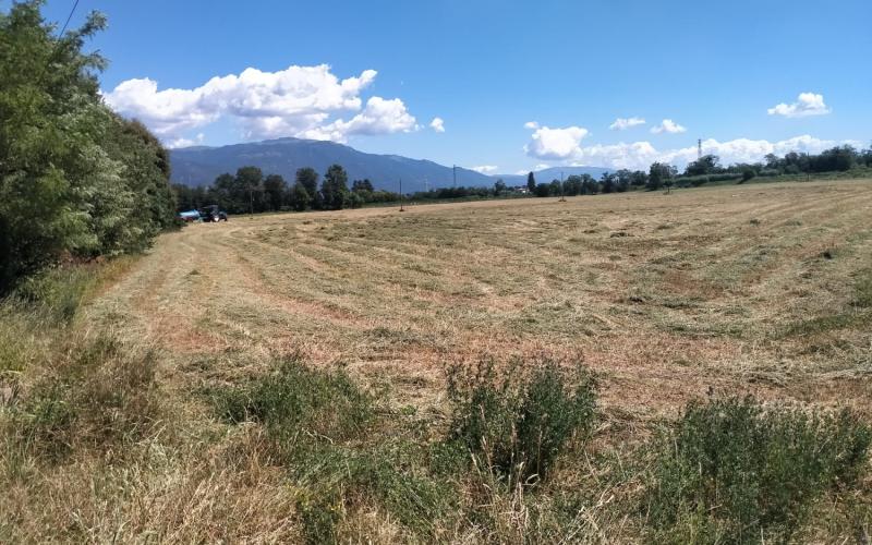 Bassanonet.it Suolo per i tuoi occhi