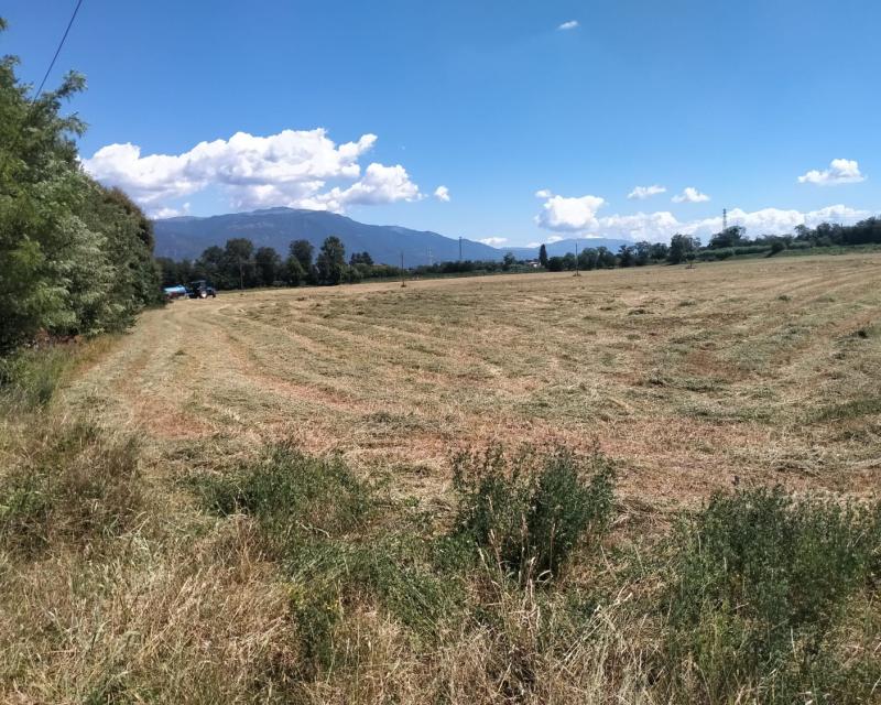 Bassanonet.it Suolo per i tuoi occhi