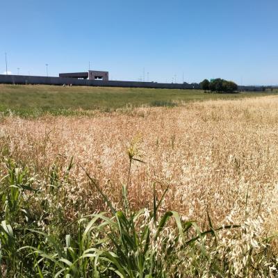 Bassanonet.it A.RI.eccoci