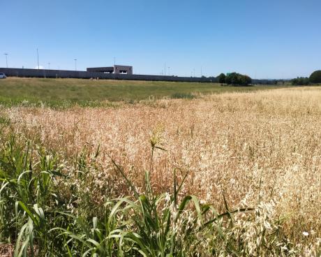 Bassanonet.it A.RI.eccoci