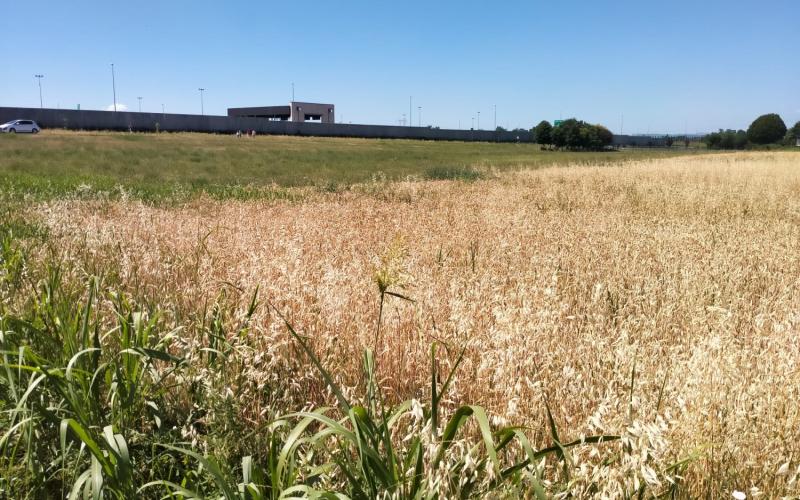 Bassanonet.it A.RI.eccoci