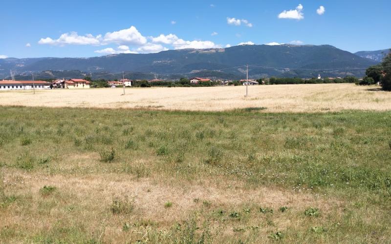 Bassanonet.it Tutti per uno