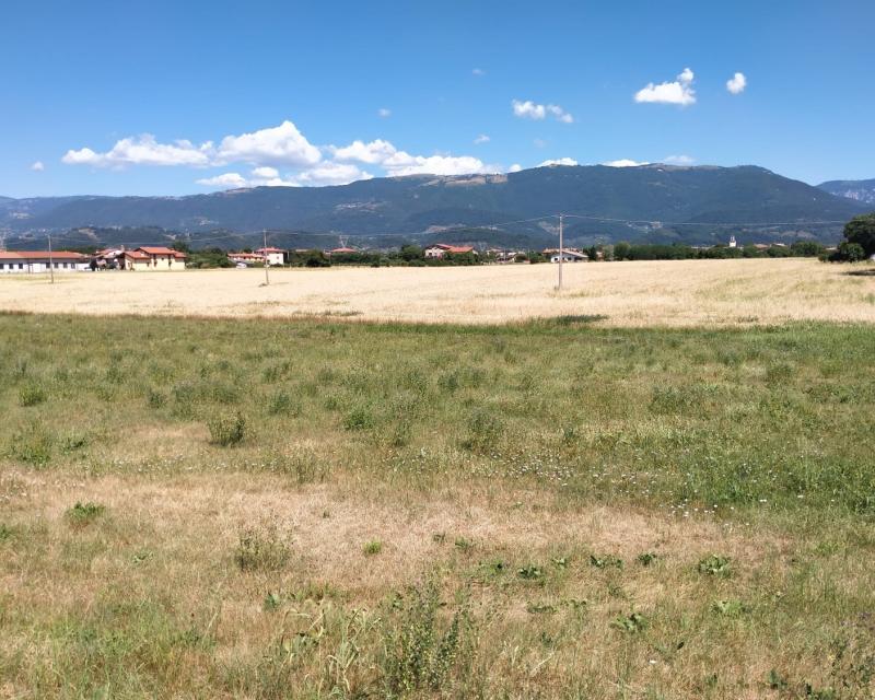 Bassanonet.it Tutti per uno