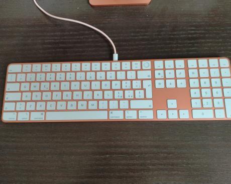 Bassanonet.it Lettera al signor Tic