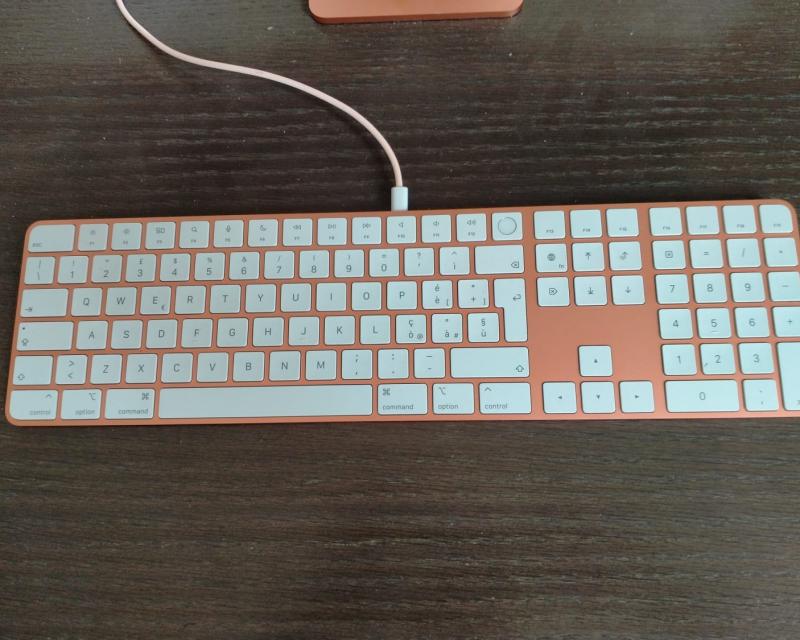 Bassanonet.it Lettera al signor Tic