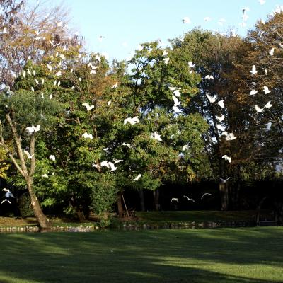 Bassanonet.it Parco RAASM, la grande Oasi del territorio