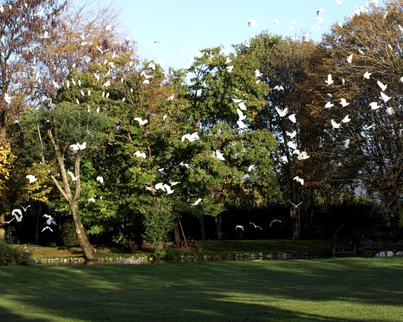 Bassanonet.it Parco RAASM, la grande Oasi del territorio