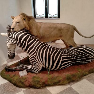 Bassanonet.it Dono di natura