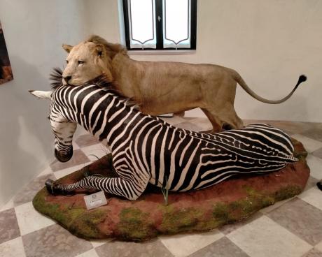 Bassanonet.it Dono di natura