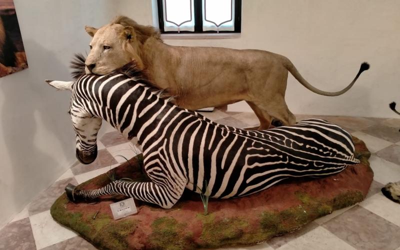 Bassanonet.it Dono di natura