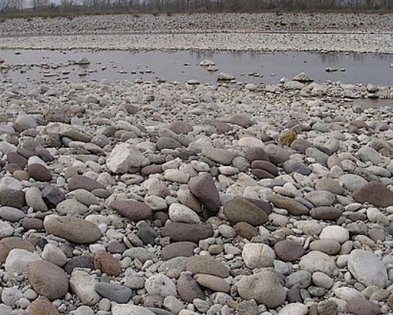 Bassanonet.it Benvenuti al Sud