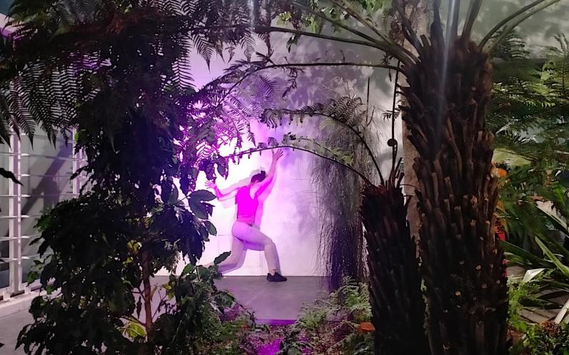 Bassanonet.it Il Libro della Giungla