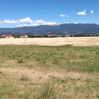 Bassanonet.it A onor del Viero