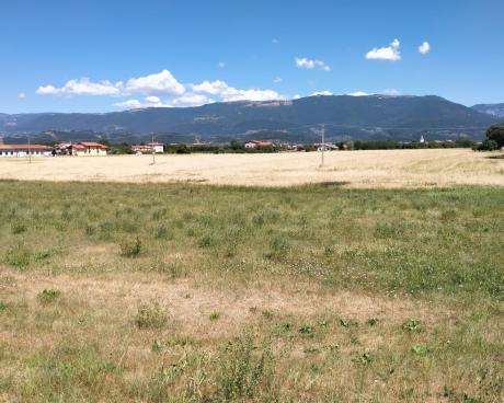 Bassanonet.it A onor del Viero