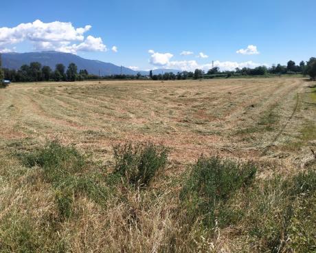 Bassanonet.it Grande Fratello Vip